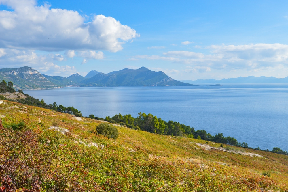 Pelješac
