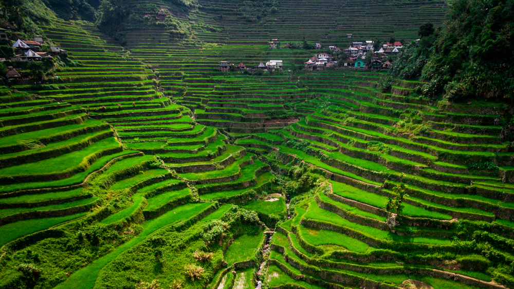 Ifugao Province