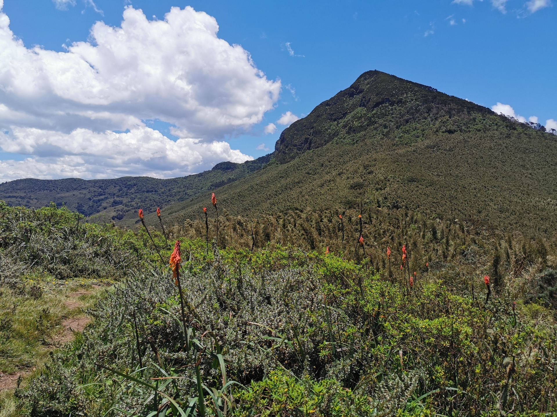 Le Parc national d'Aberdare