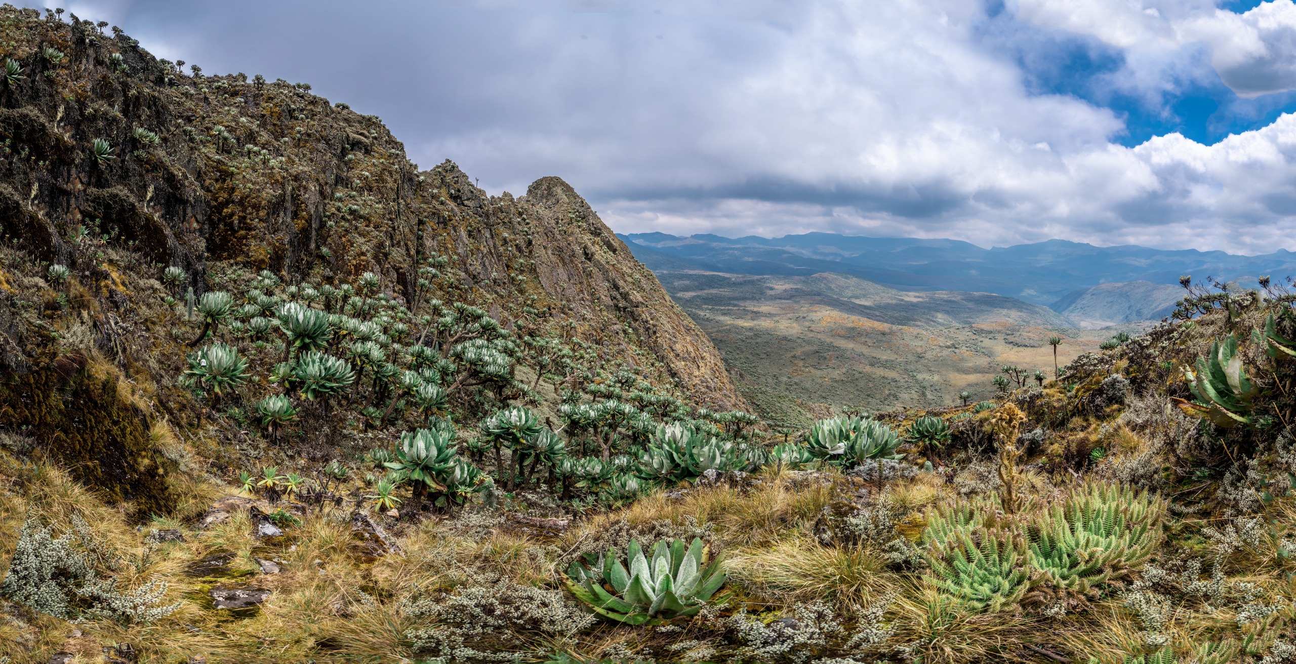 Parc national du Mont Elgon