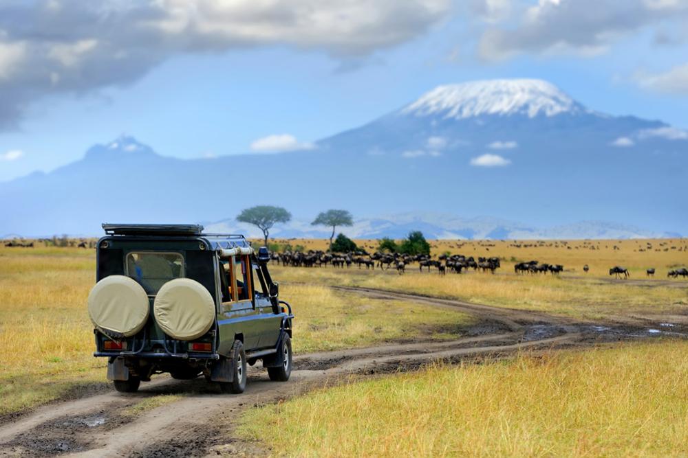 Safari au Kenya : nos conseils pour une excursion réussie !