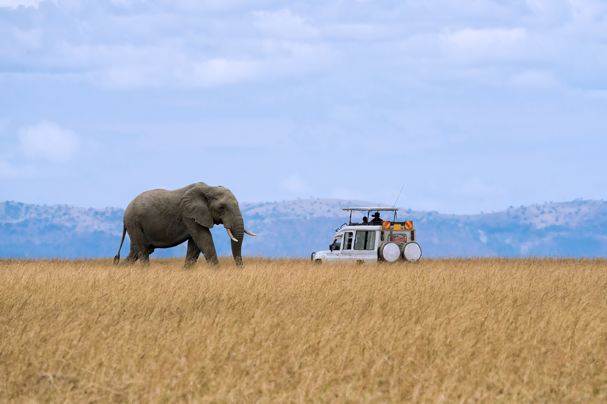 Safari dans la réserve nationale du Masai Mara : notre guide complet