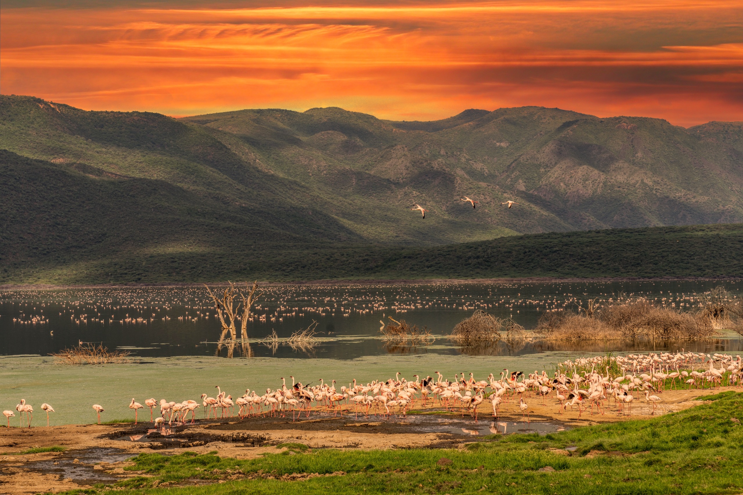 Lac Baringo