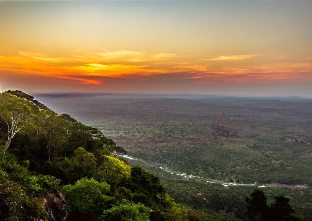 Réserve nationale de Shimba Hills