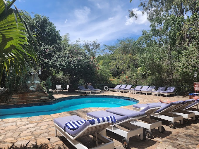 Fig Tree Camp
