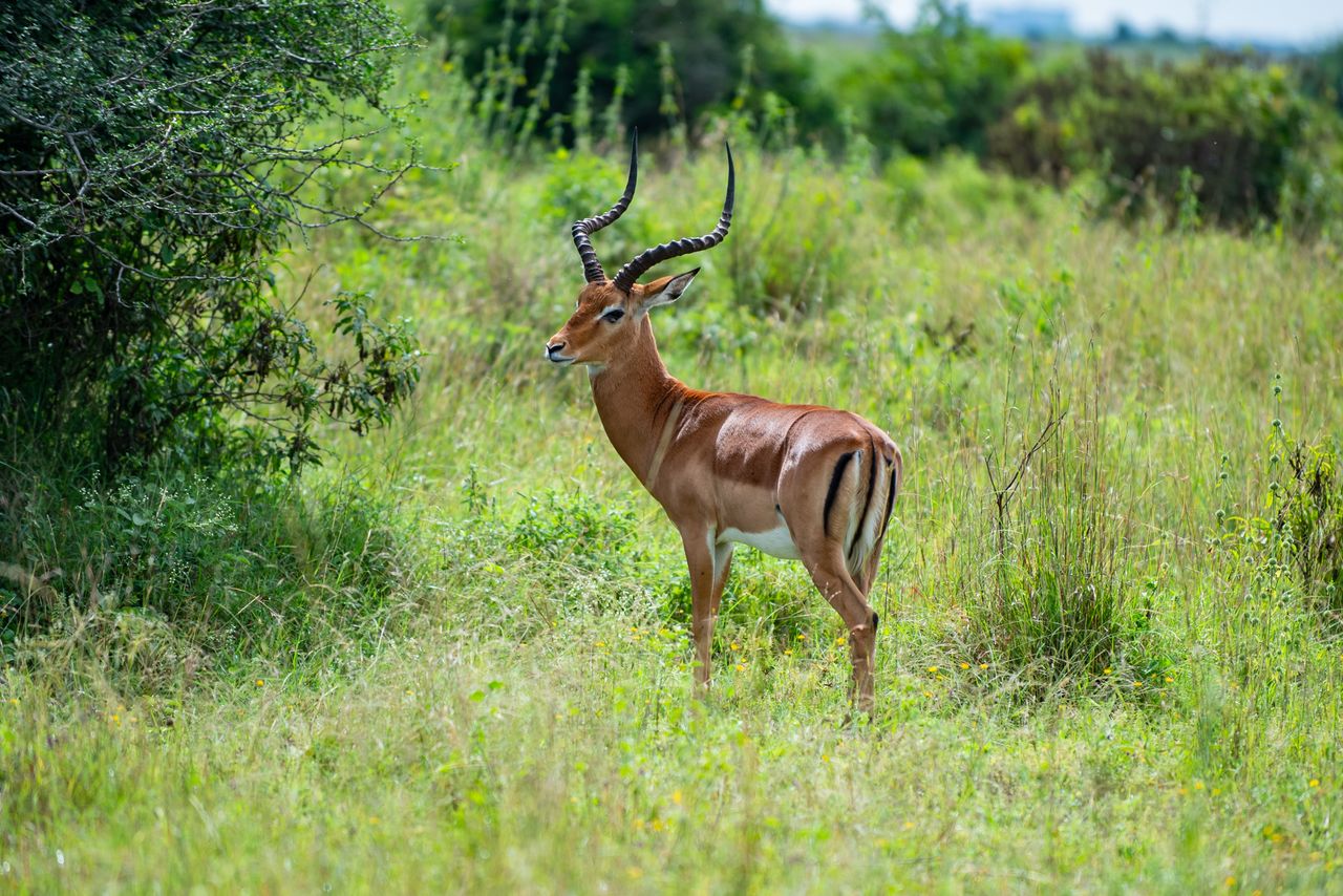 Parc national de Malka Mari