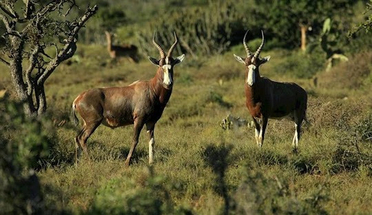 Parc national de Malka Mari