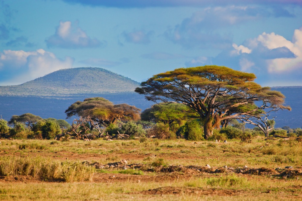 Les plus beaux parcs nationaux du Kenya