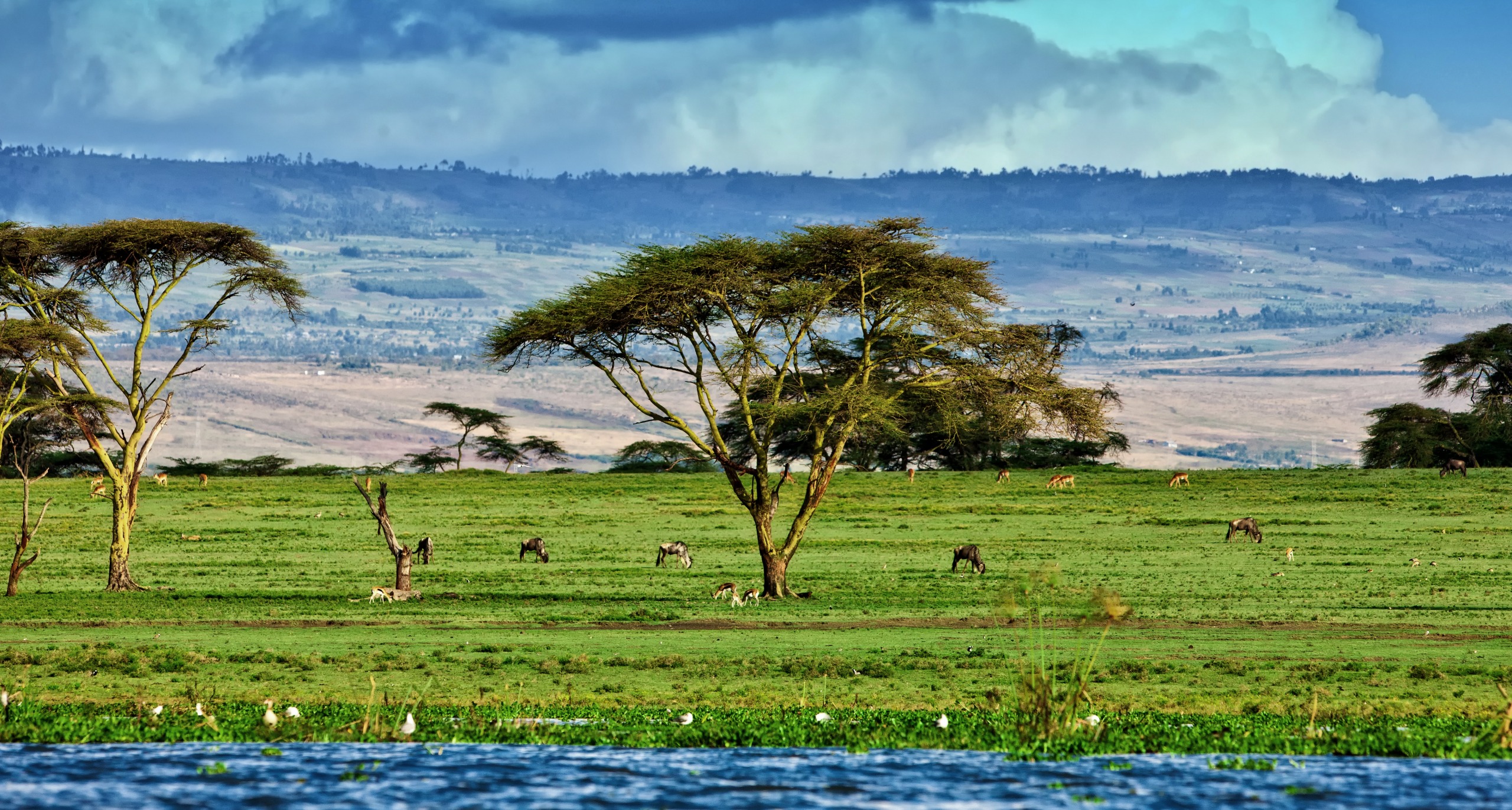 Parc national du lac Naivasha