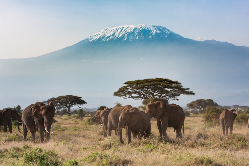 Le parc national d’Amboseli