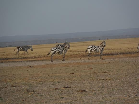 Parc National de Sibiloi