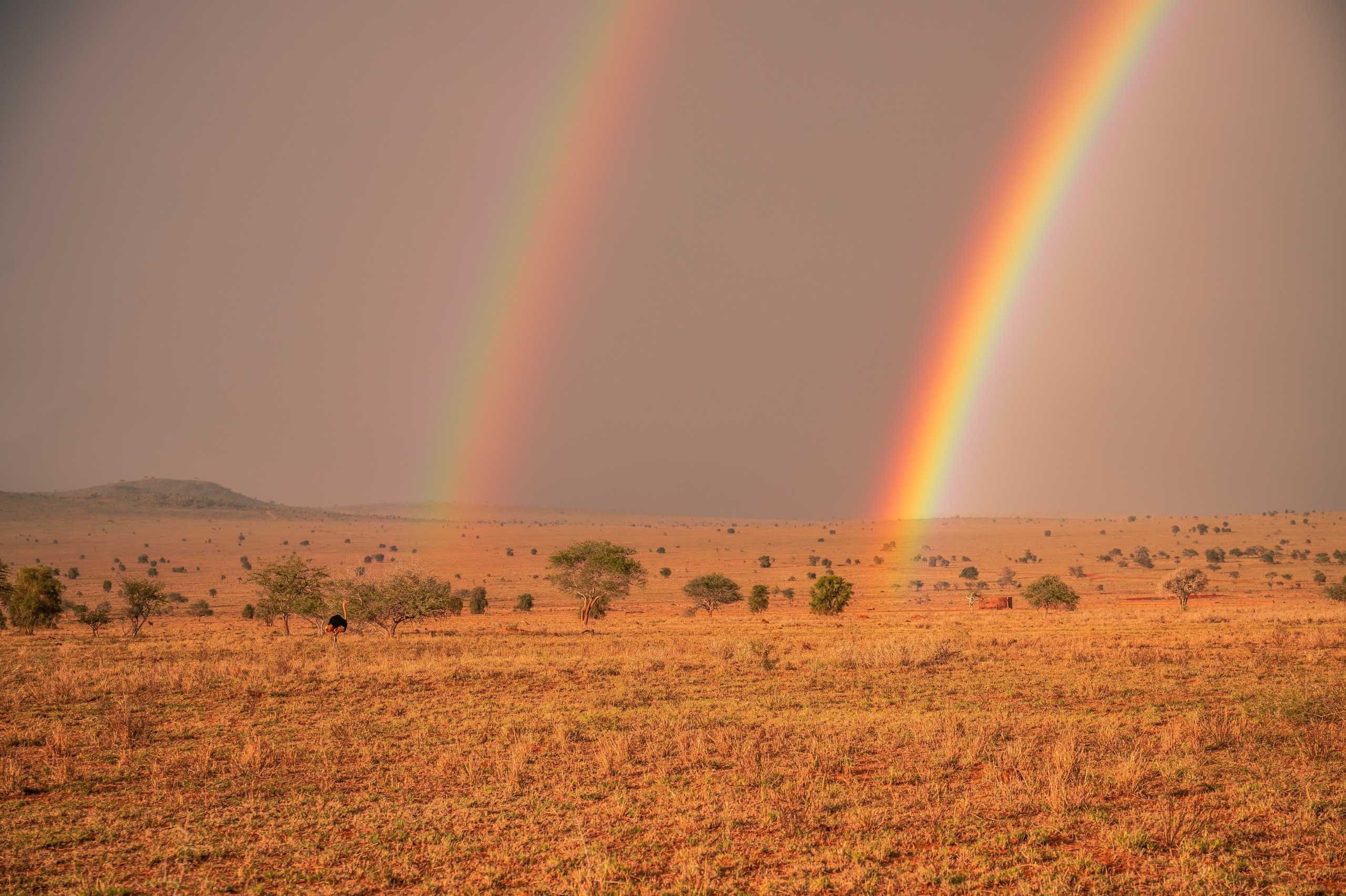 Le climat au Kenya