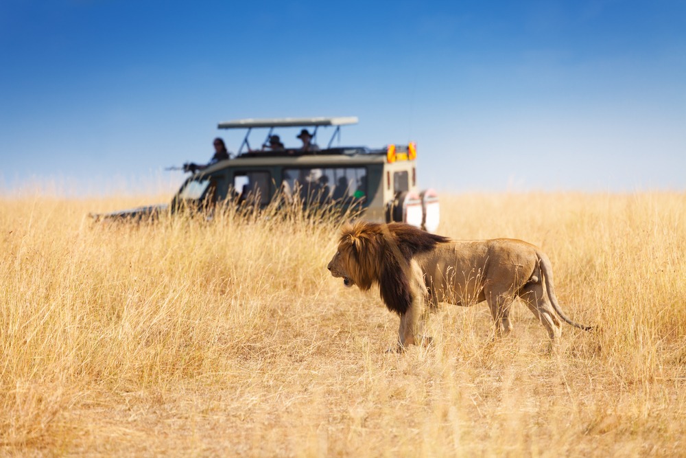 Où faire un safari au Kenya ?