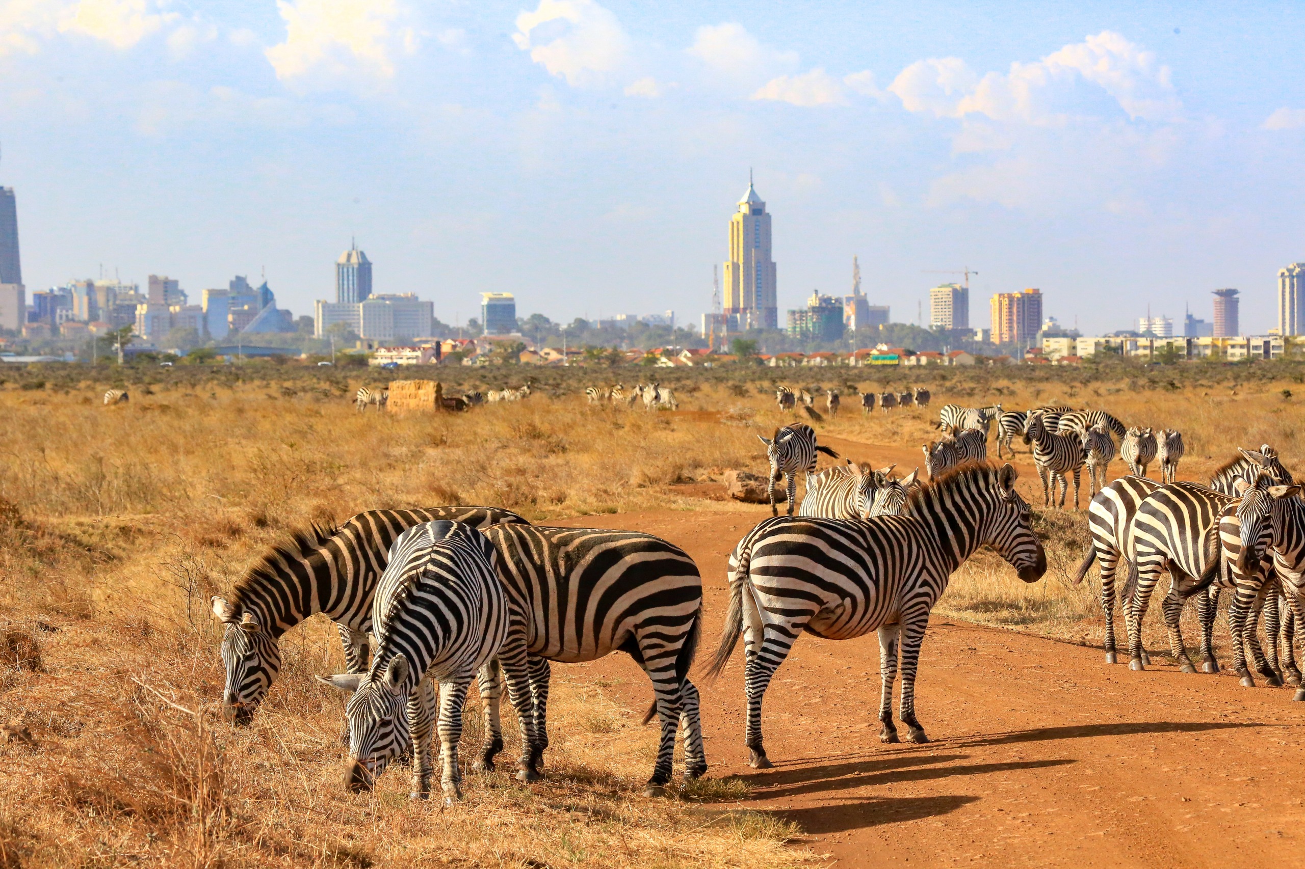 Nairobi Safari Walk