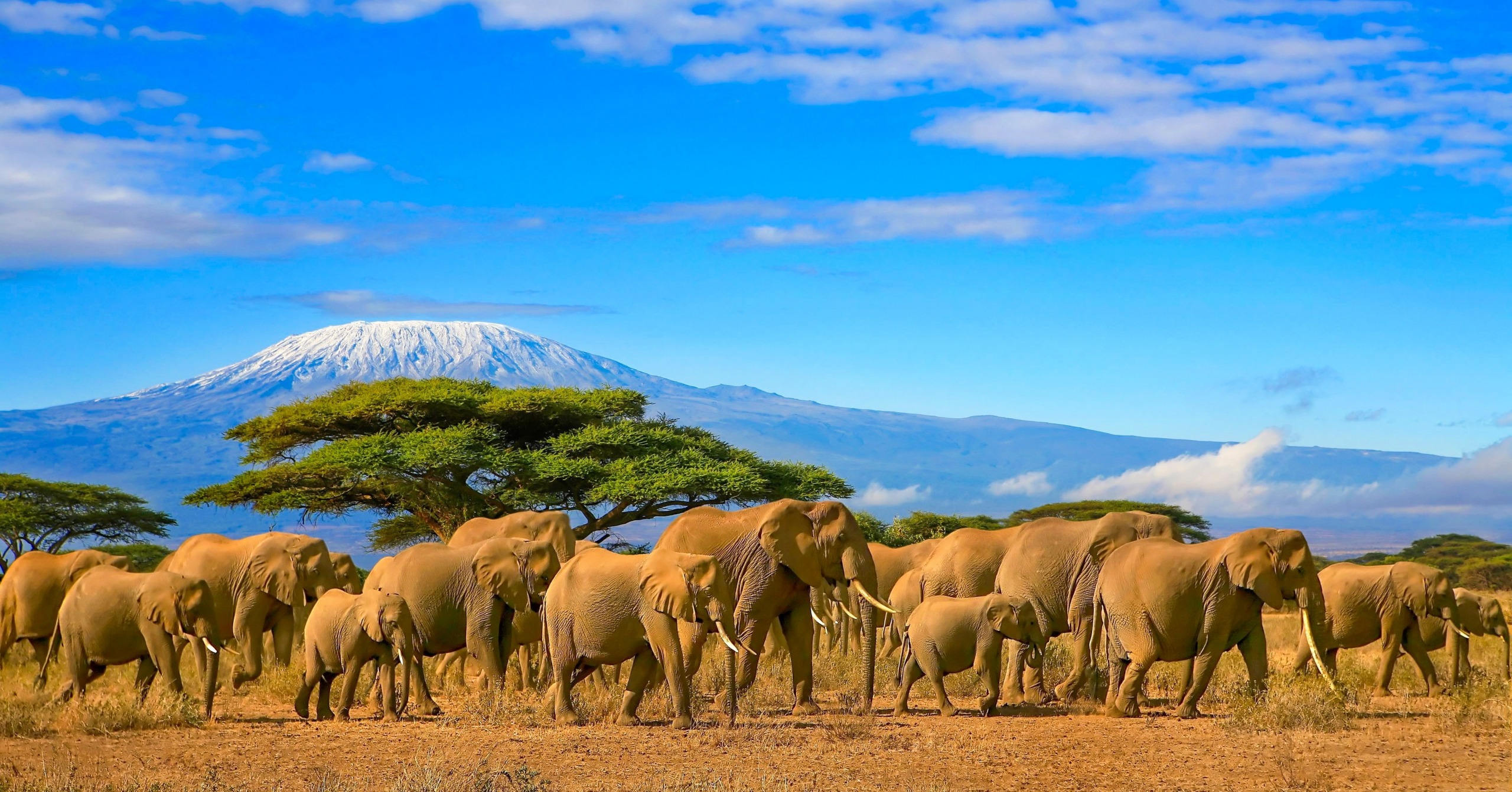 Quels sont les sites inscrits au patrimoine mondial de l'UNESCO au Kenya ?