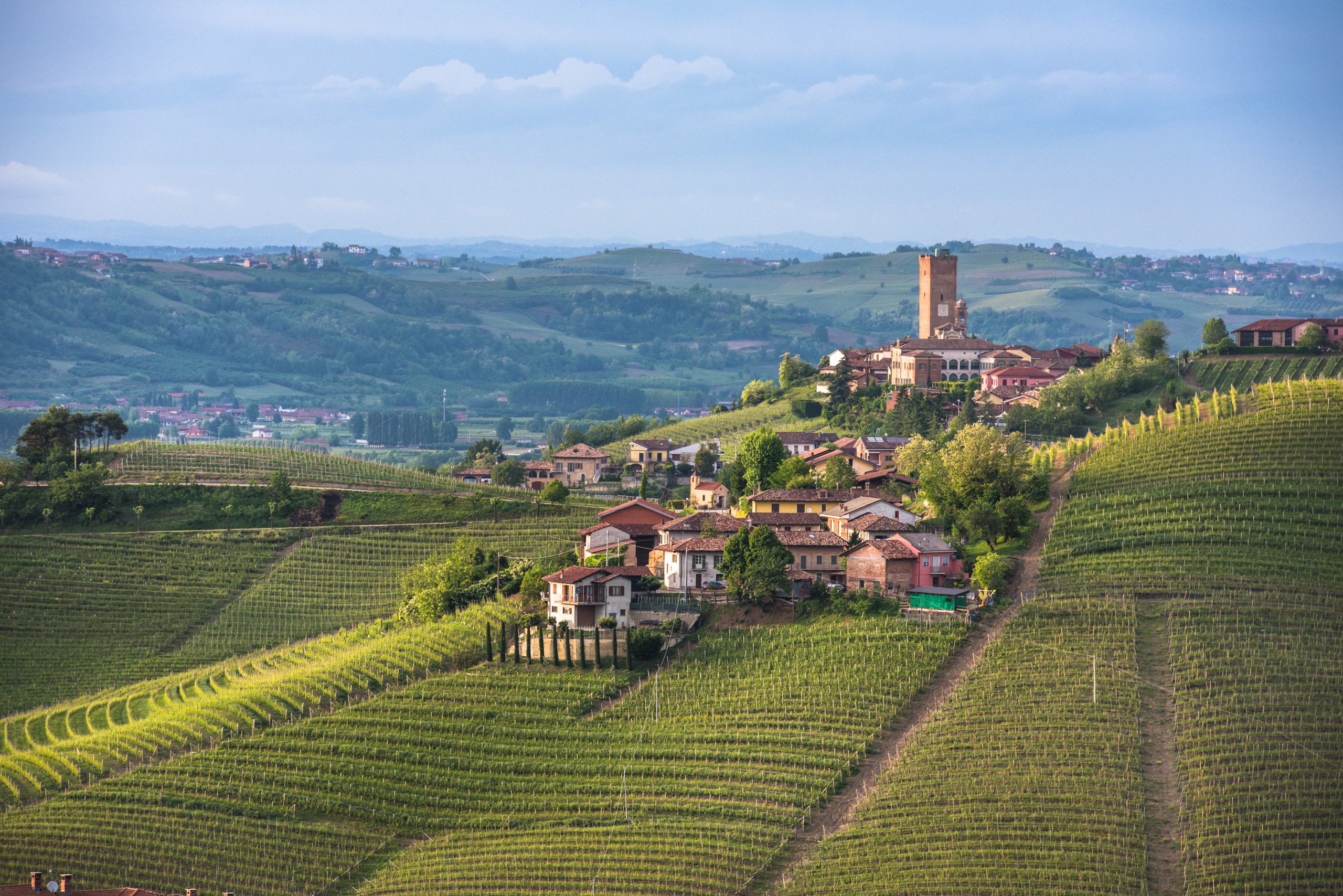 Barbaresco