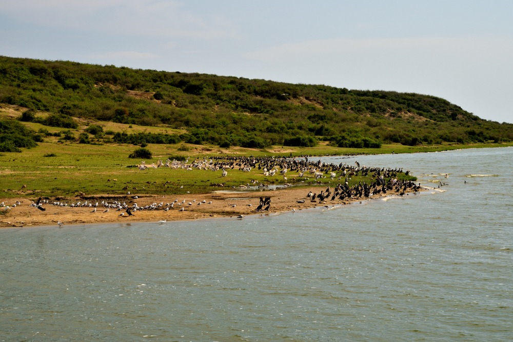 Parc National de Queen Elizabeth