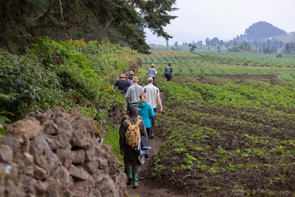 Voyager au Rwanda : est