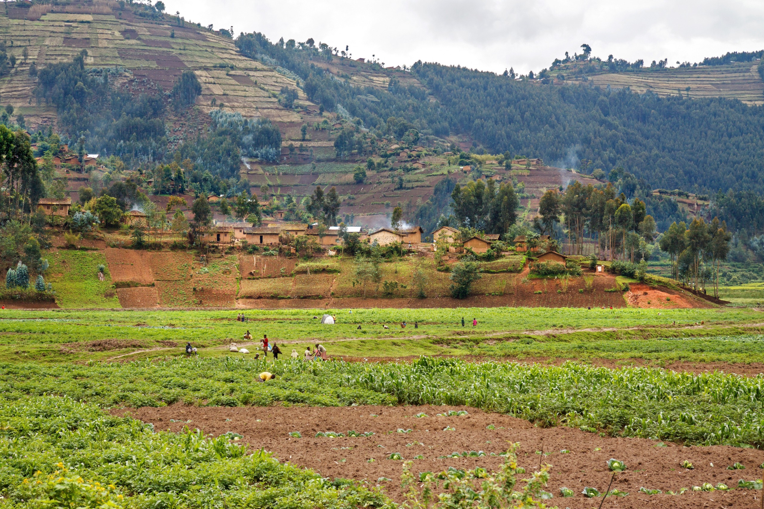 Musanze