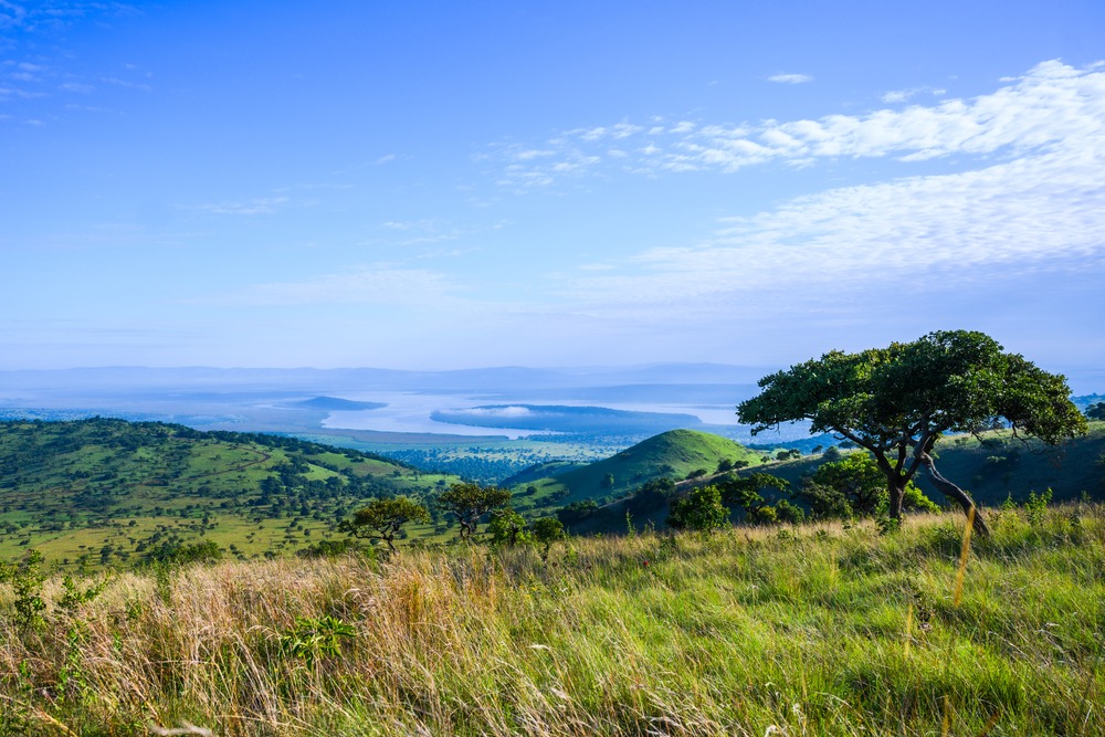 Safari au Rwanda, pays des milles collines