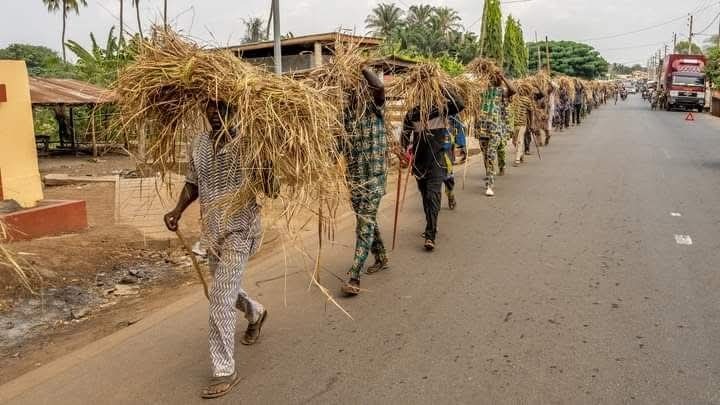 Irù wèrè : Quand Dassa-Zoumé restaure le toit du monde sacré