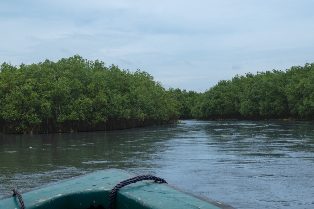 Fleuve Mono