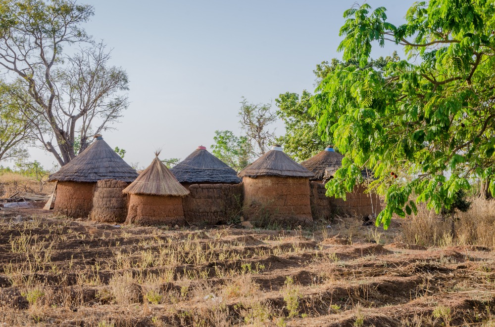 Savane de Pendjari