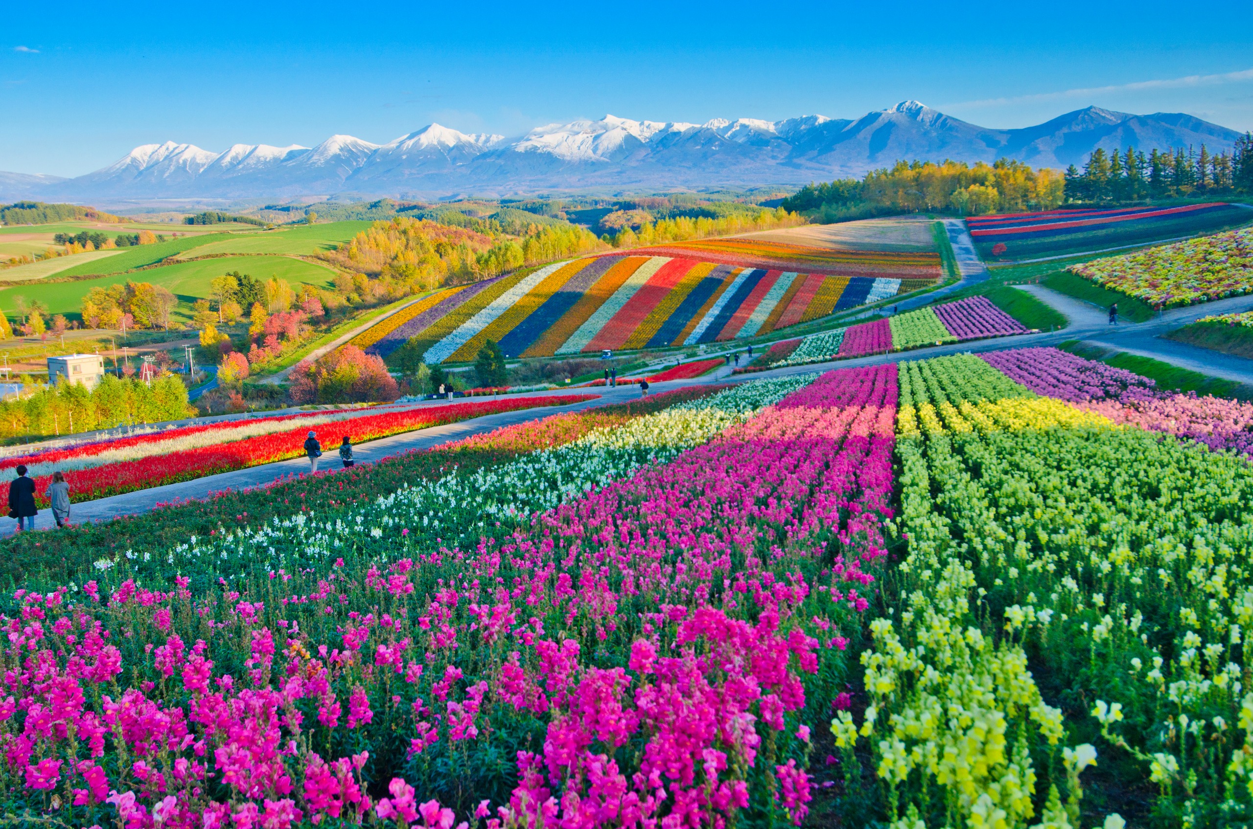 Hokkaido