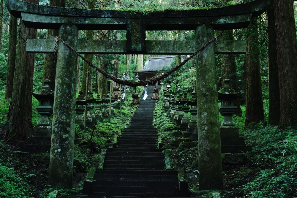 kamishikimi