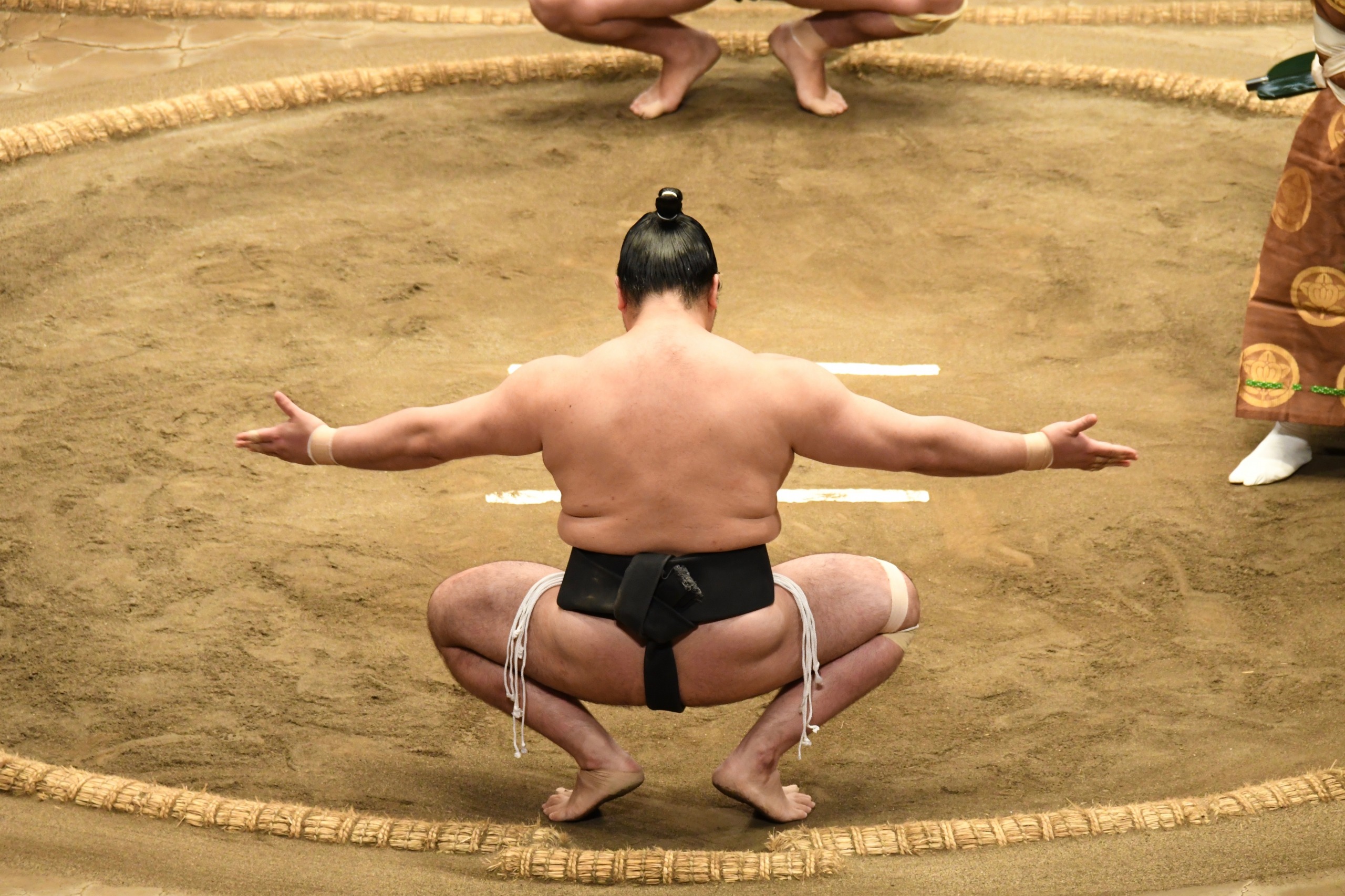 Sumotoris : découvrez les origines du sumō et où voir des lutteurs japonais !