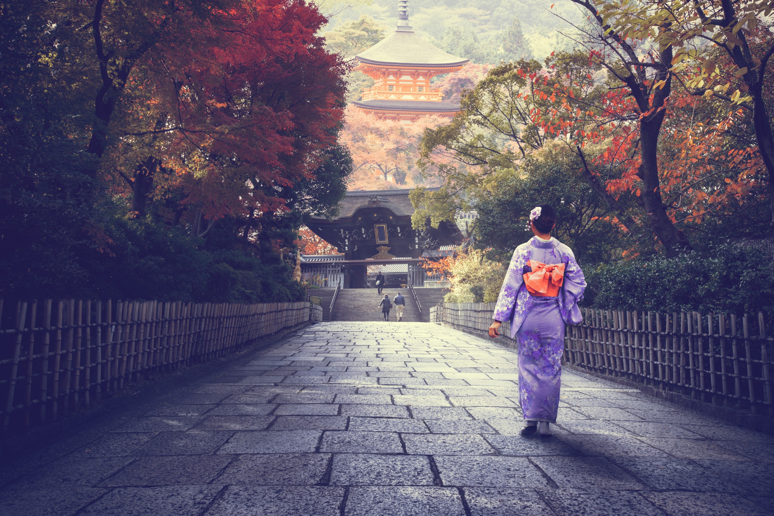 Les sites du patrimoine mondial de l’UNESCO à voir au Japon