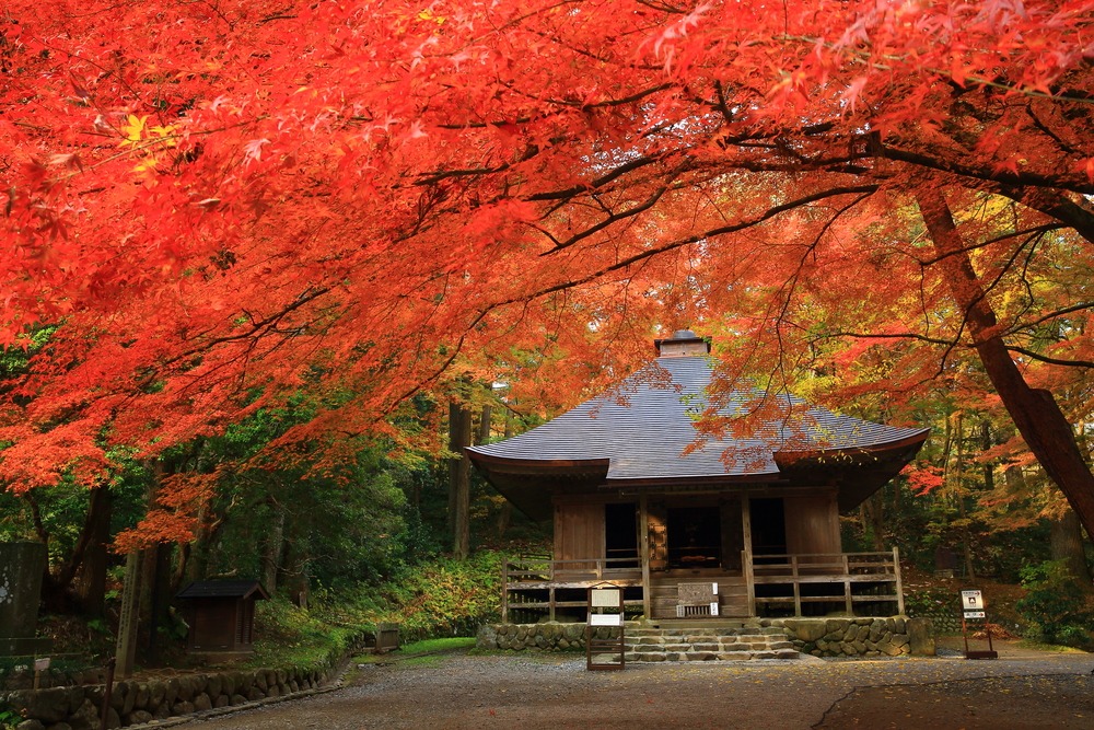 Hiraizumi