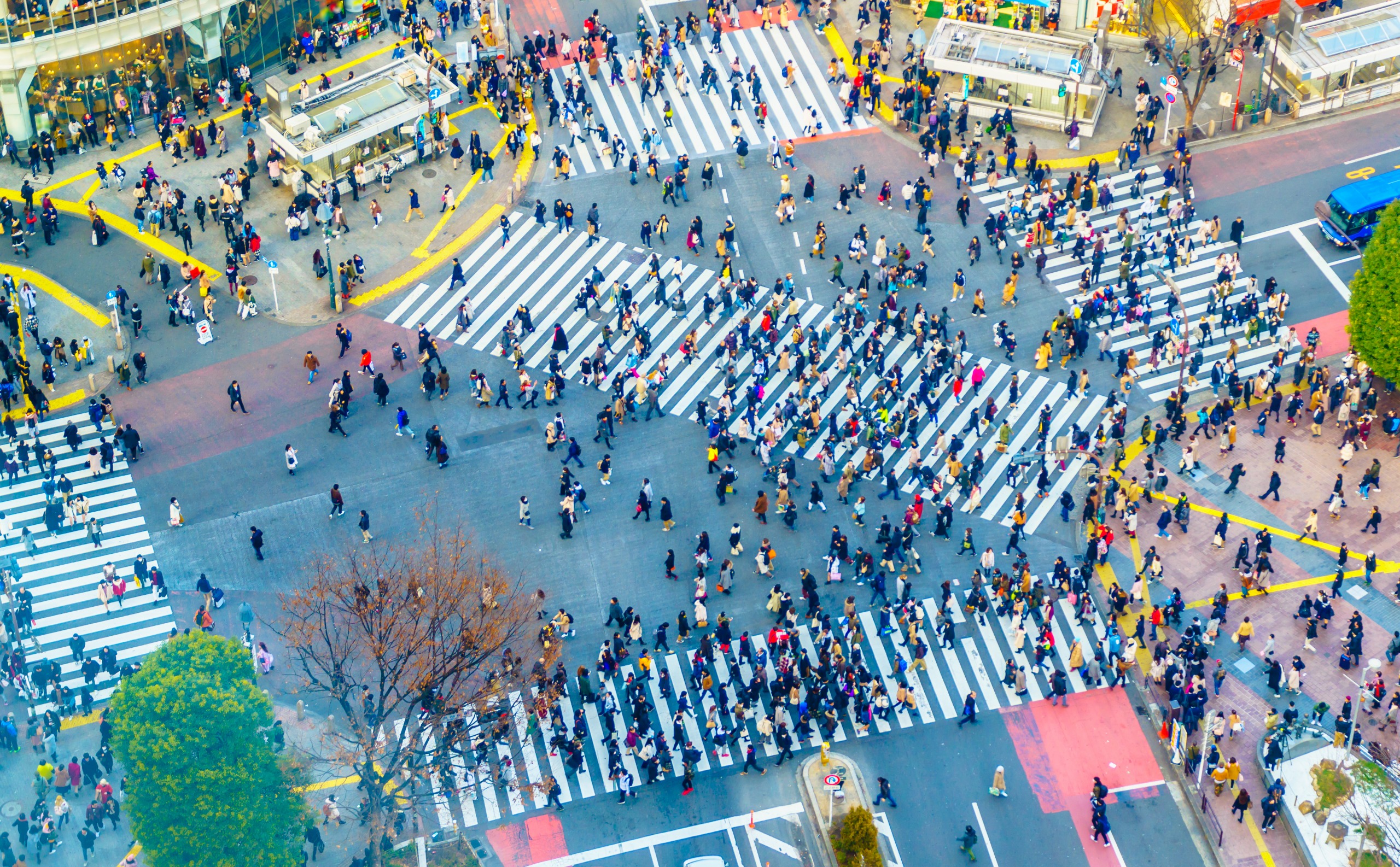 La démographie au Japon
