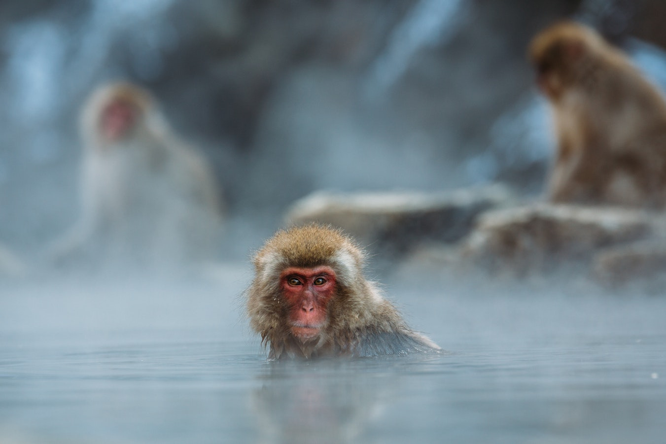 Shibu Onsen