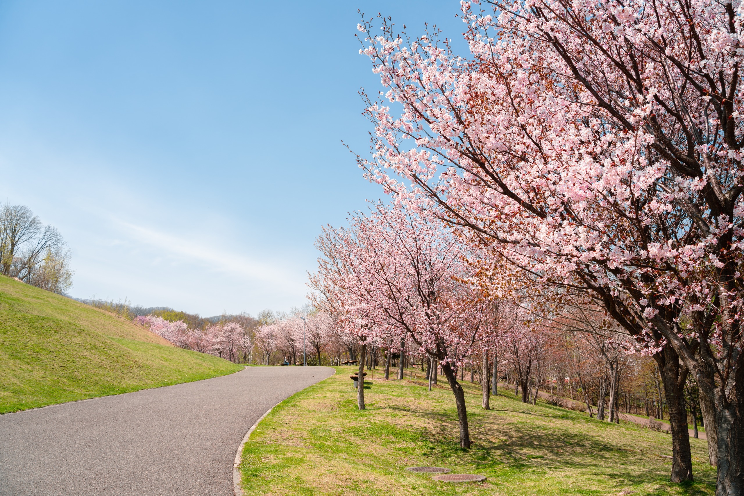 Les plus beaux parcs de Tokyo