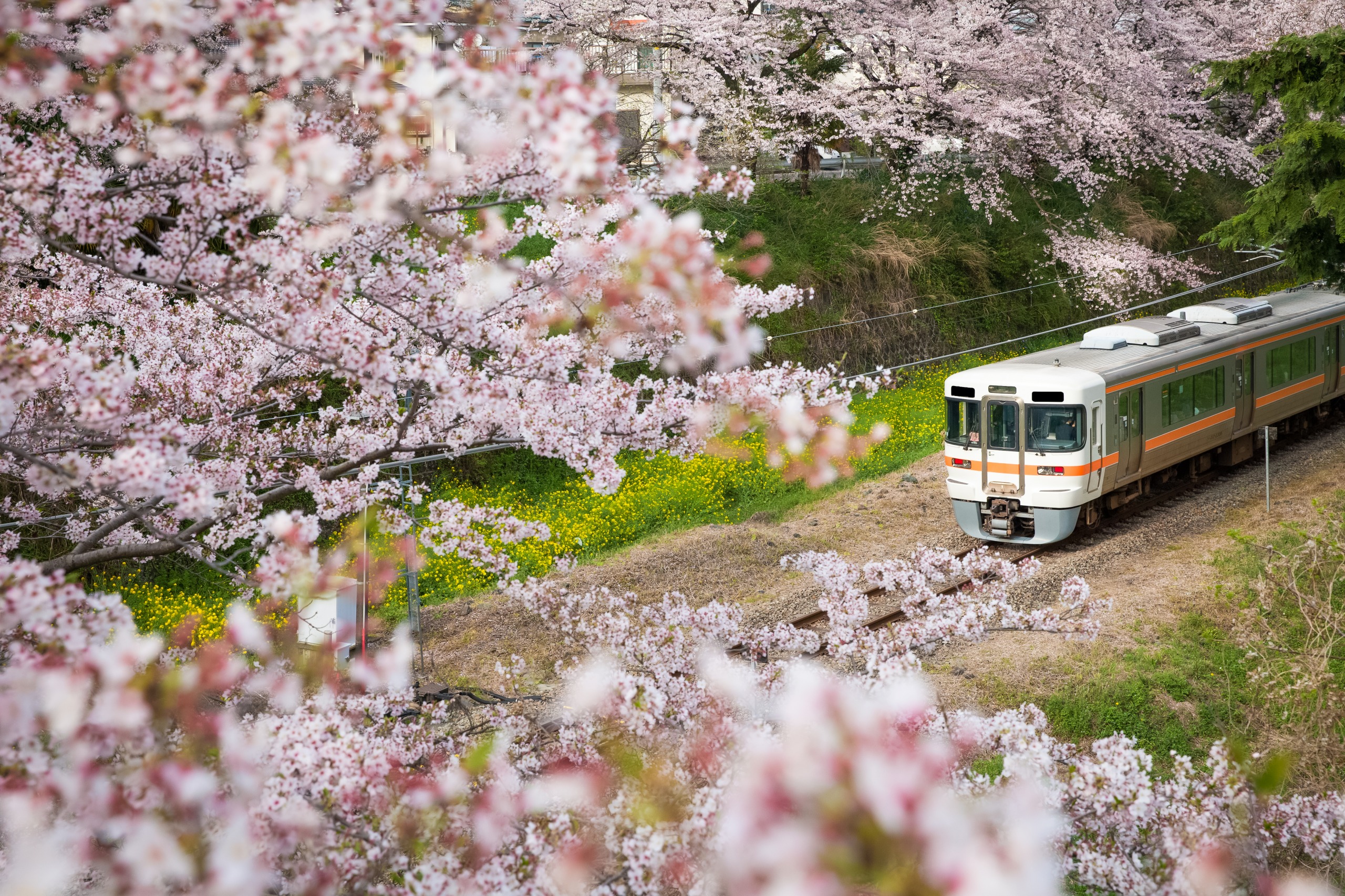 Réseau ferroviaire au Japon : quels prix et quelles options pour prendre le train ?