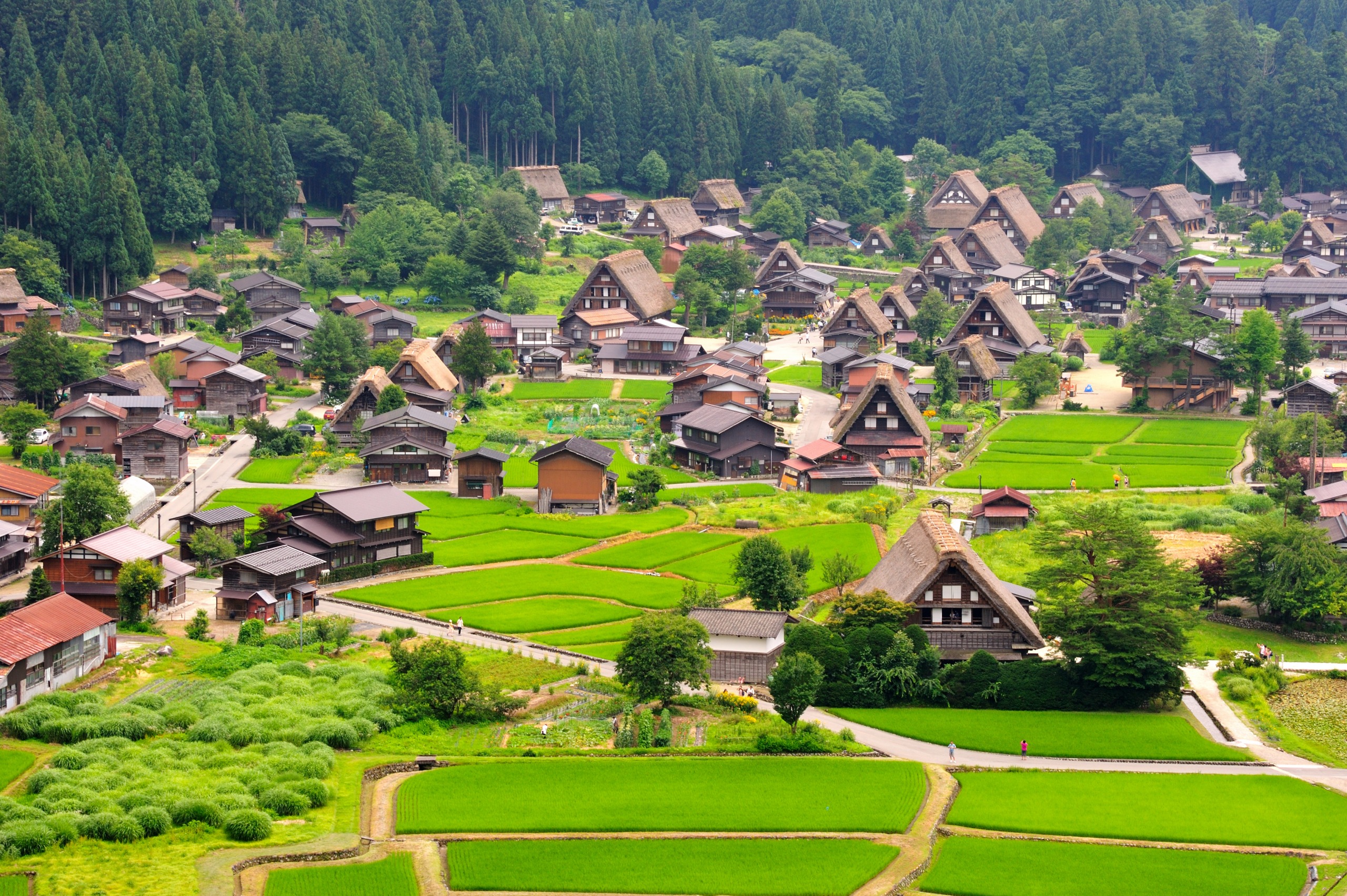 Shirakawa
