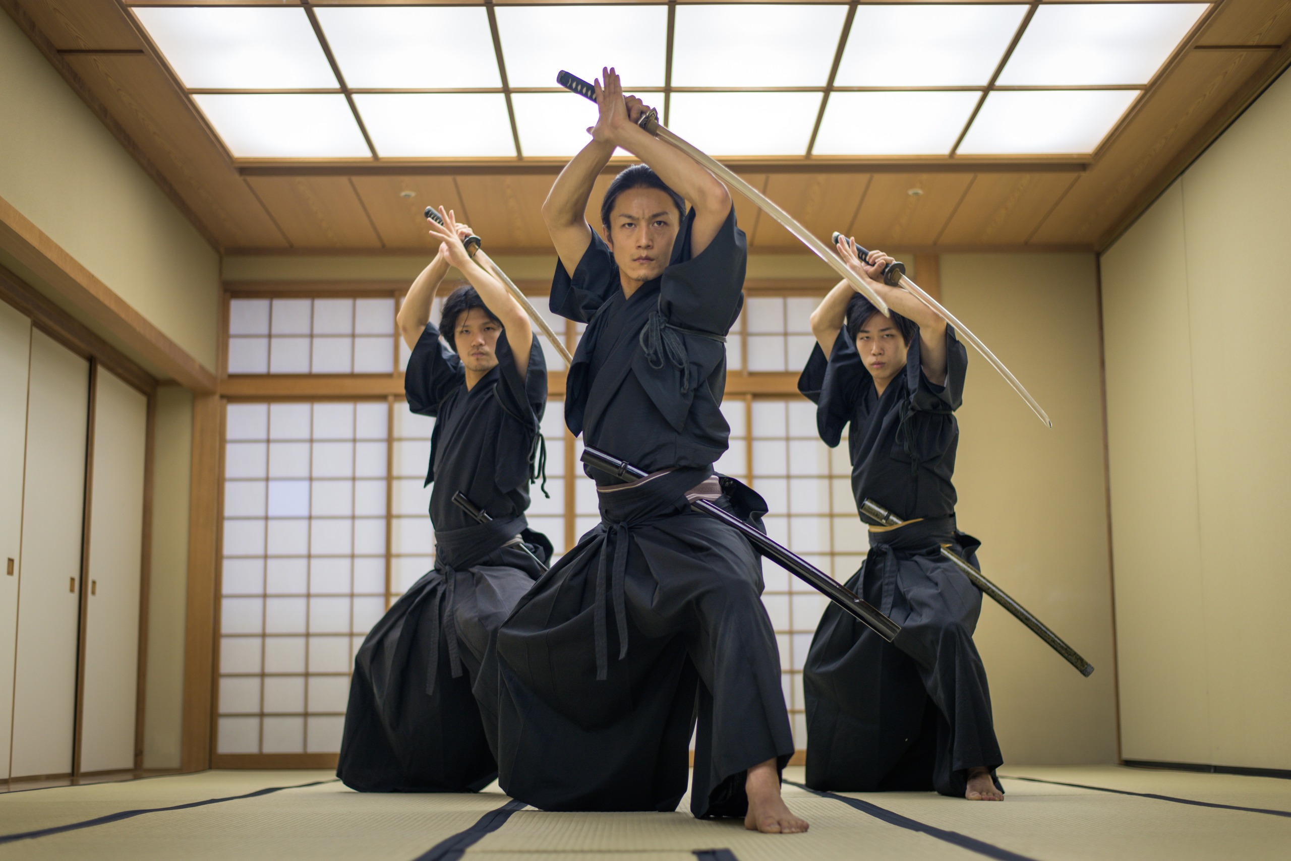 What are the different Japanese martial arts?