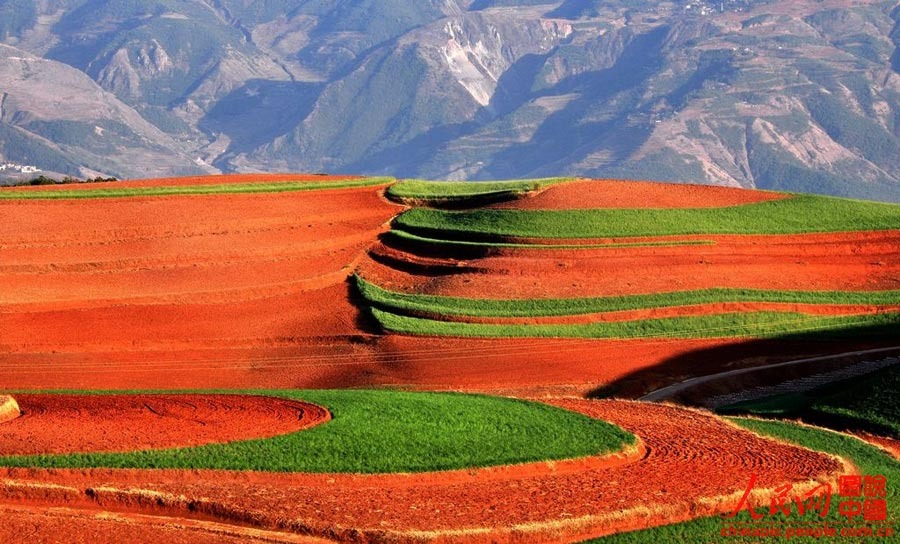 Dongchuan Red Land