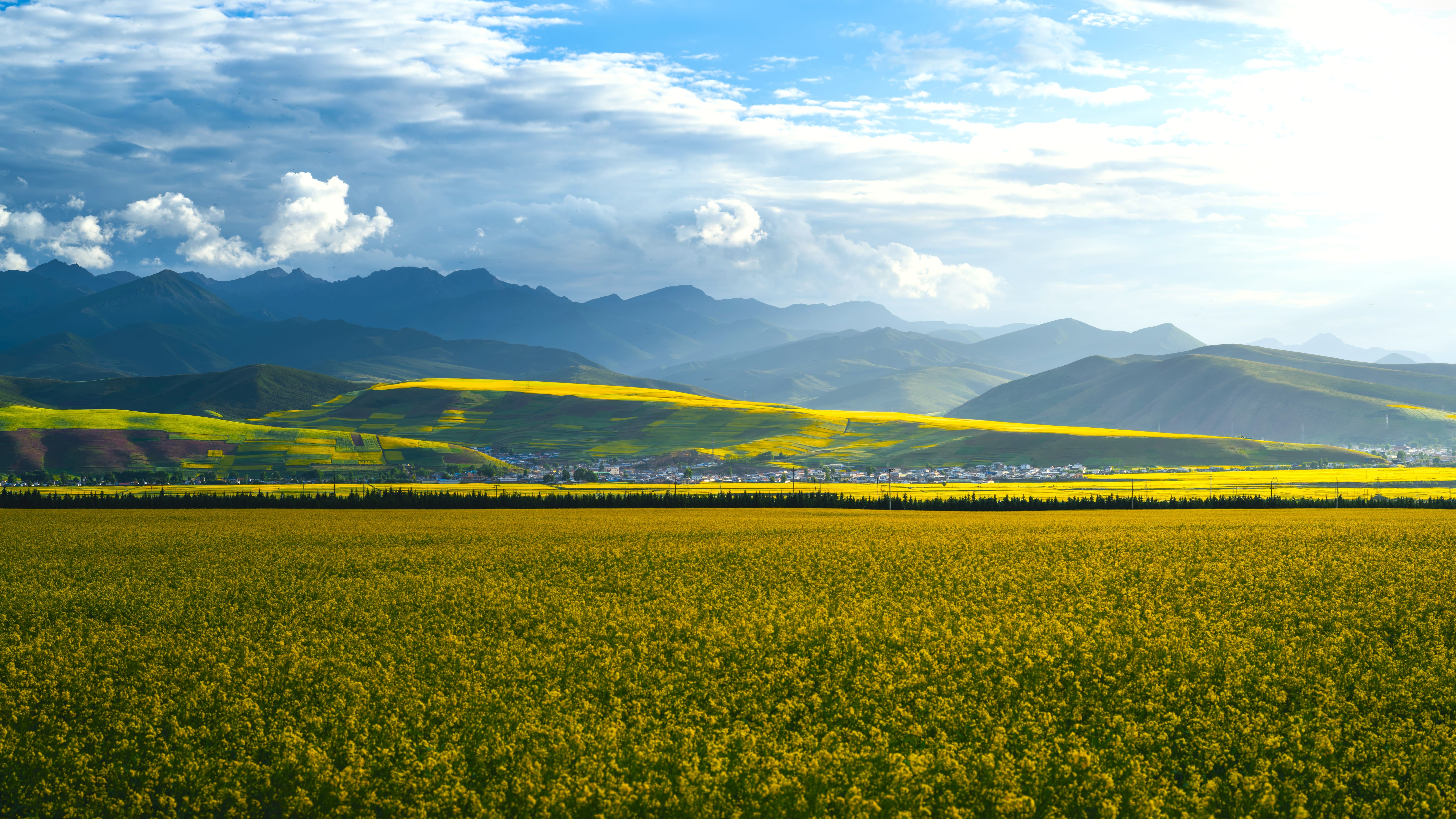Qinghai