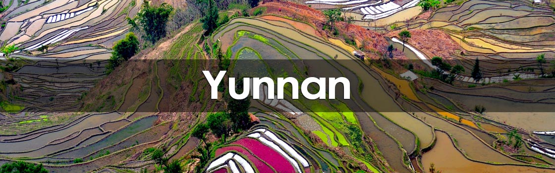 Yunnan