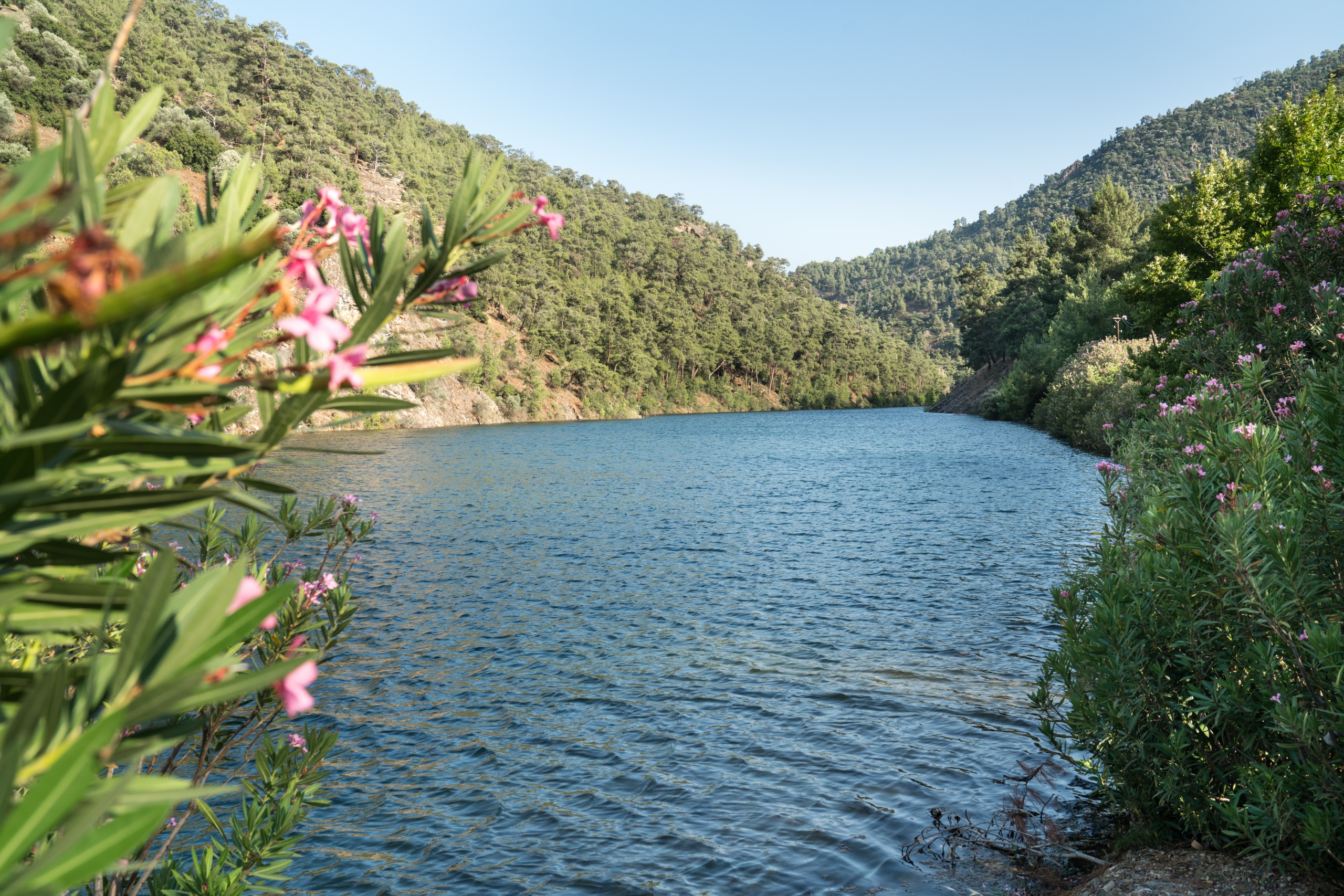 Lac Aiding
