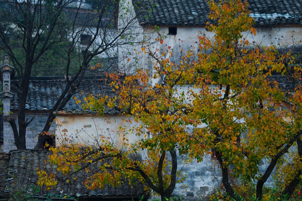 Village historique de Tachuan