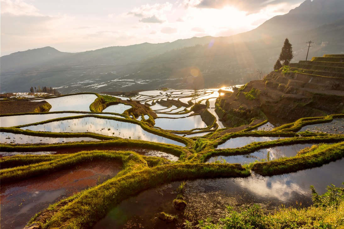 Rizières en terrasse de Yuanyang