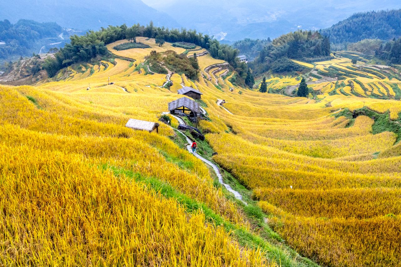 Longsheng