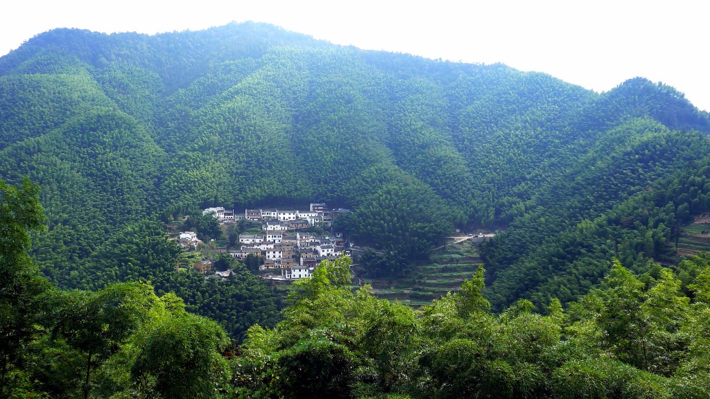 Bambouseraie de Mukeng (木坑竹海)