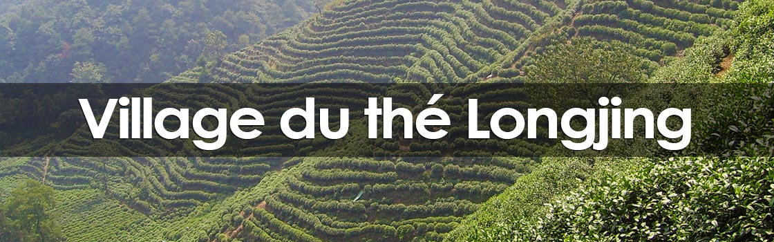 Villaggio del tè Longjing (Pozzo del Drago)