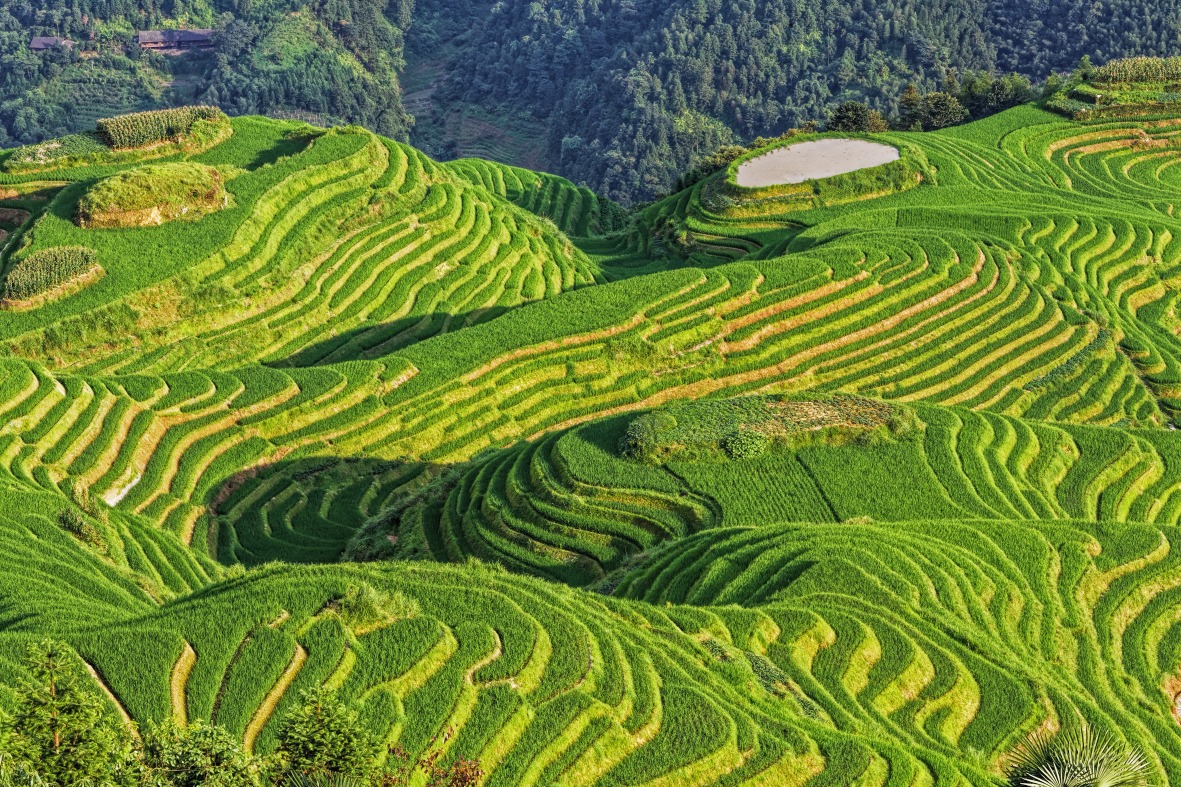 Village Ping'an
