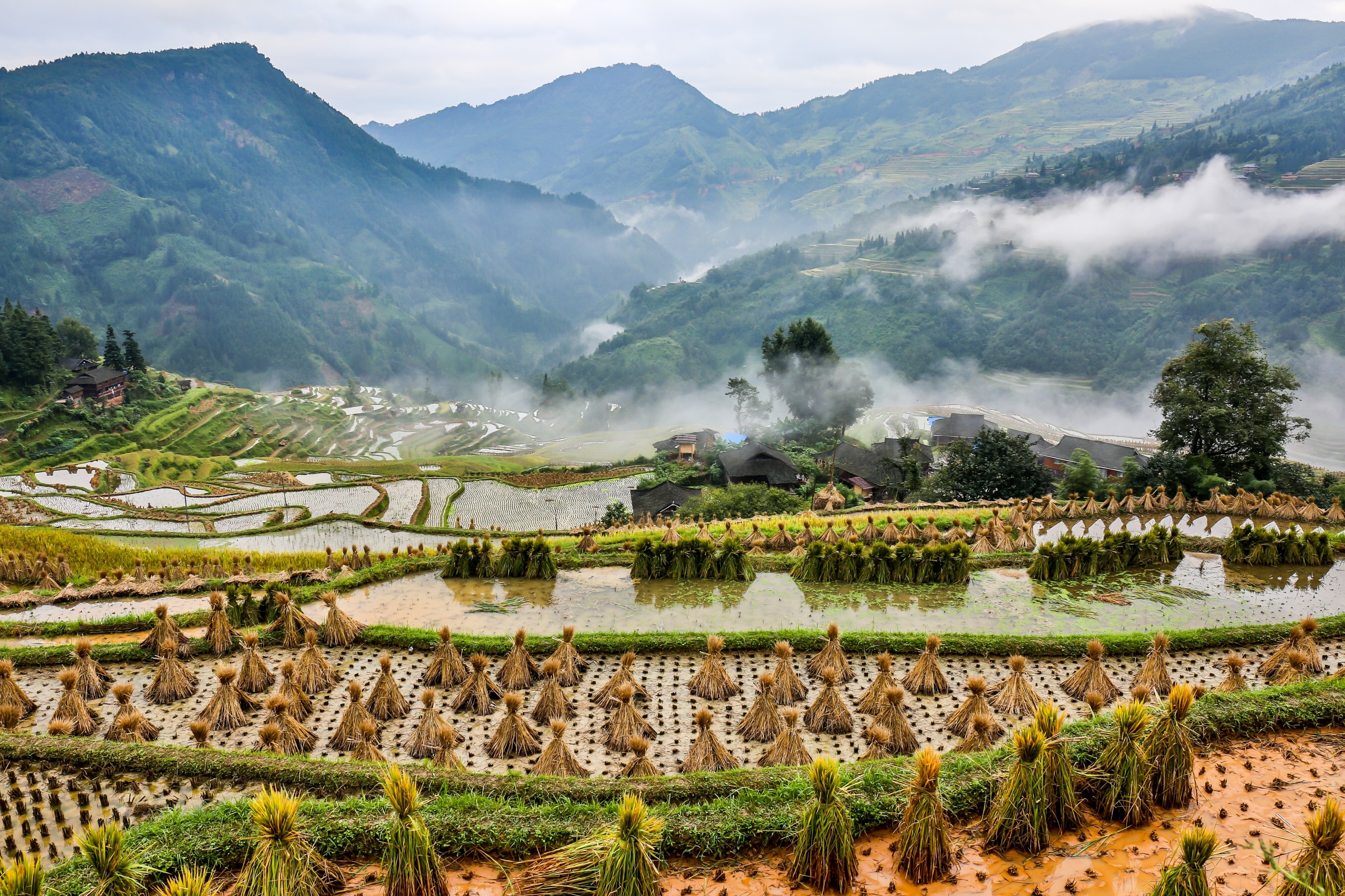 Congjiang
