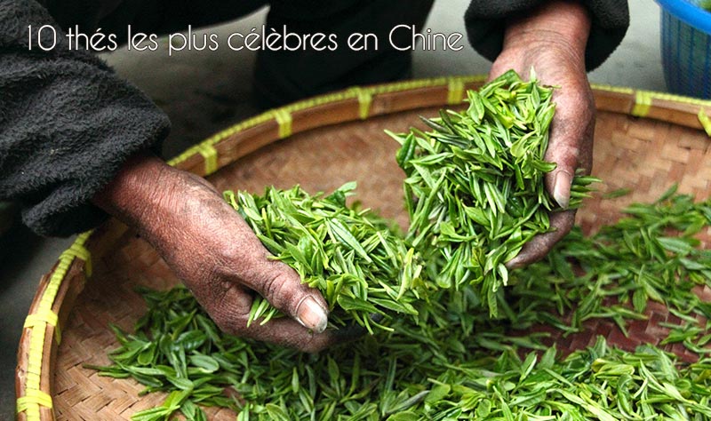 I 10 tè più celebri della China